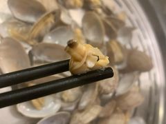 花蛤-蔚海之都·象山蒸汽海鲜(仙霞路店)