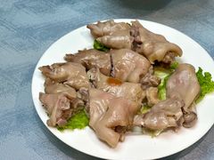 -丁老爷子苏香圆