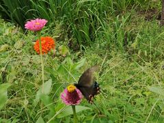 -棋盘山风景区