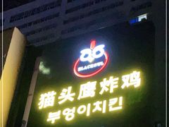 门面-猫头鹰炸鸡