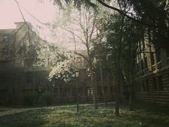 -曲阜师范大学(曲阜校区)