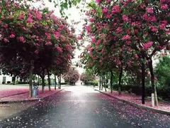 -华侨大学(厦门校区)