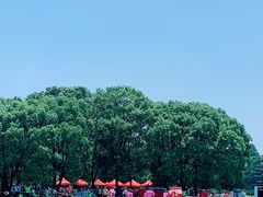 -东方绿舟景区