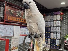 -四海楼(如皋定慧禅寺店)