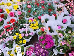-苏州市皮市街花鸟工艺品市场