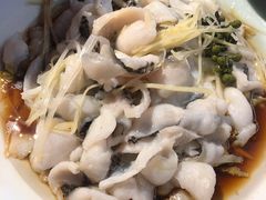 藤椒油浸黑鱼片-小吊梨汤·北京菜·烤鸭(鸟巢店)