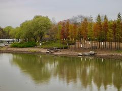 -贡湖湾湿地公园