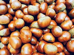 -小宝栗子(嘉华国际商业中心店)