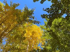 -KARN敢·春武里泰国小餐馆(版筑翠园店)