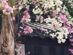 -深圳国际园林花卉博览园