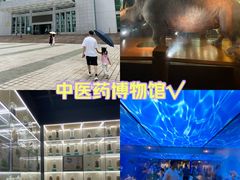-广东中医药博物馆
