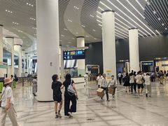 -望京西(地铁站)