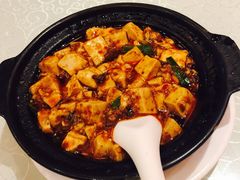 -陈麻婆豆腐总店