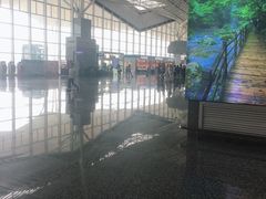 -张家界荷花国际机场