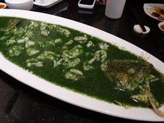 荠菜桂鱼-福1039(愚园路店)