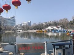 -莲湖公园