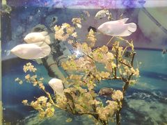 -常州海昌海洋探索馆