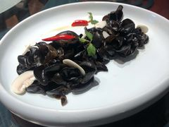 捞汁木耳-九十九顶毡房(阜石路店)