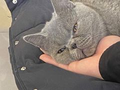 -平行世界·猫咖(首经贸店)