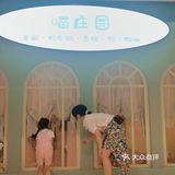 长沙萌宠集合店,一次性撸6种动物20个品种