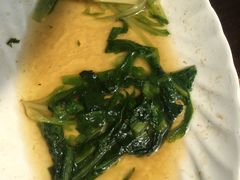 时令蔬菜-老茶树骊园生态川菜馆