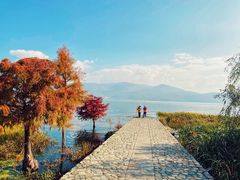 -洱海月湿地公园