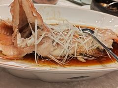 豉汁蒸东星斑-苏州冠云大酒店