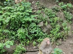 -黔灵山公园