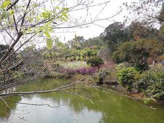 -南国桃园旅游度假区