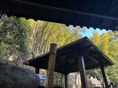 -明月山天沐温泉度假村