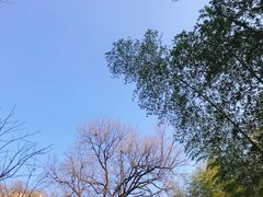 -紫金山天文台