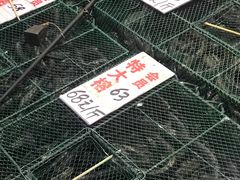 -荔城生鲜盛宴(番禺旗舰店)