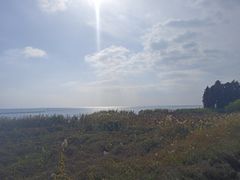 -贡湖湾湿地公园