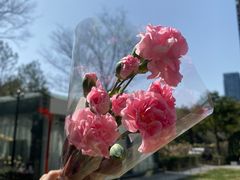 -九月里.自由花园餐厅