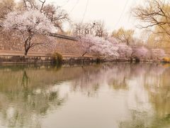 -颐和园