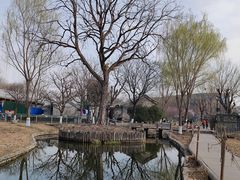 -三里河公园