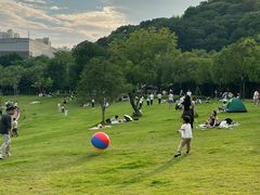 -牛岗山公园