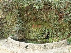 -十八棵（老龙井）御茶园(老龙井店)