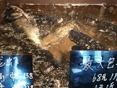 -上名堂·鱼头好吃(体育场路店)