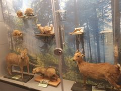 -下渚湖国家湿地公园科普馆