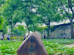 -绍兴鲁迅故里·沈园景区