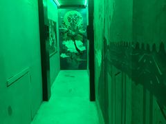 -MOJO密室逃脱(中街旗舰店)