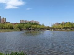 -前关湿地公园