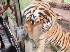 -西安秦岭野生动物园