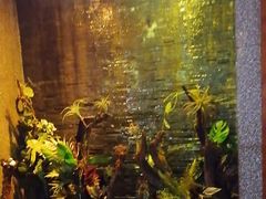 -泰适SPA馆丨精油·按摩·足道(后海地铁口店)
