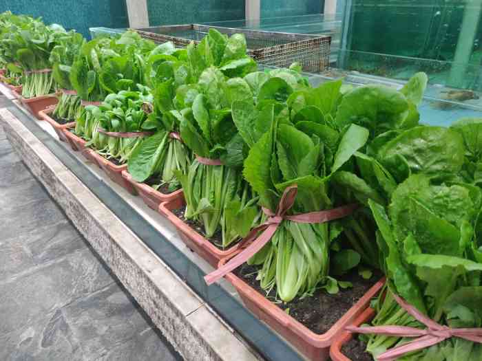 鲁海丰大酒店(餐饮部)-"这家饭店,离着我们公司50米的距离也是我.