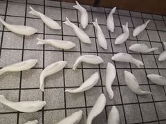 -严厨老坛酸菜鱼(吴江万宝店)