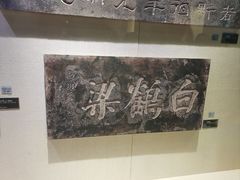 -白鹤梁水下博物馆
