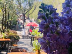 -蓝壁虎咖啡酒馆