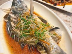 -舌尖上·霞浦滩涂海鲜·新闽菜(总店)
